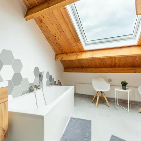 In Forested Netherlands With Terrace, Cleaning Included Goirle