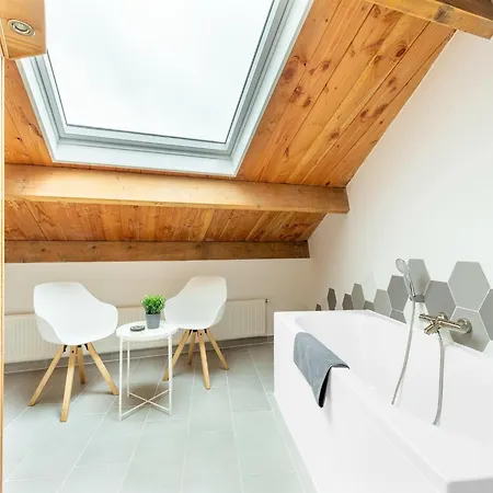 Ferienhaus In Forested Netherlands With Terrace, Cleaning Included