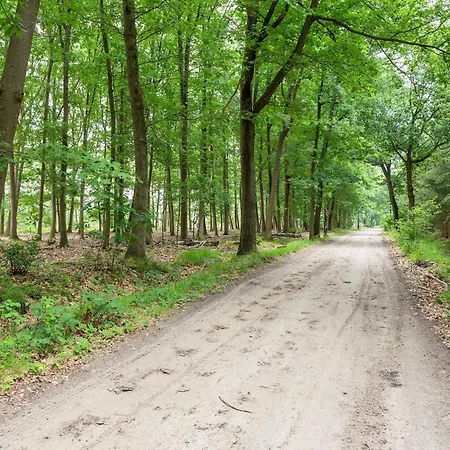 In Forested Netherlands With Terrace, Cleaning Included Ferienhaus *